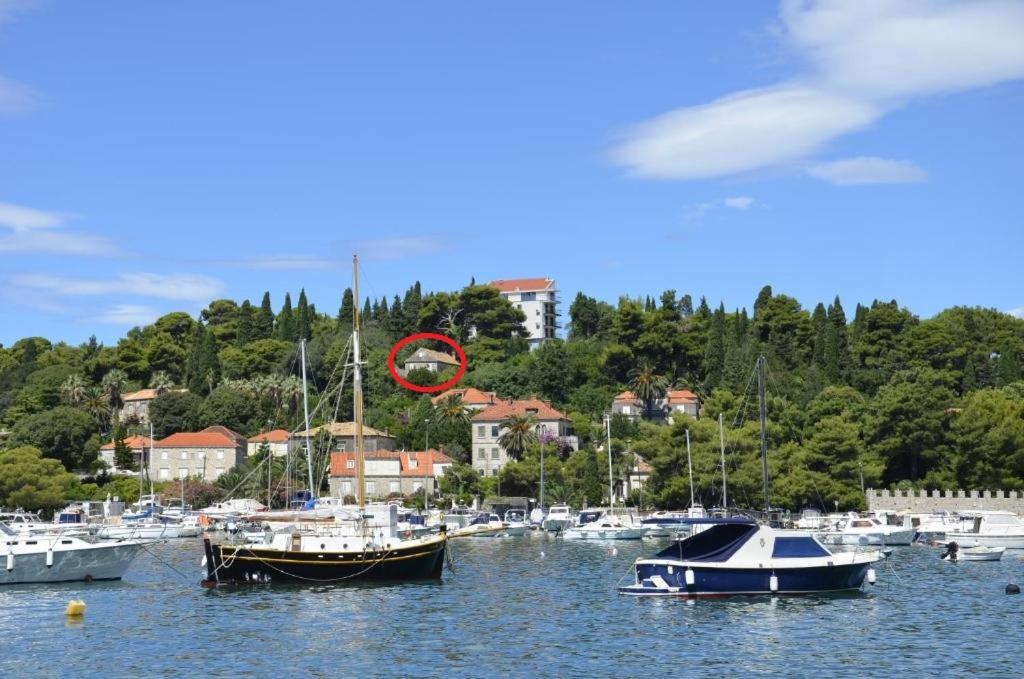 Peaceful House In Dubrovnik 아파트 외부 사진